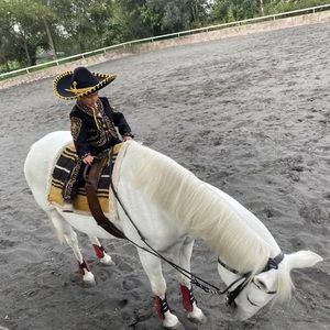 Meet your Posher, Luisa